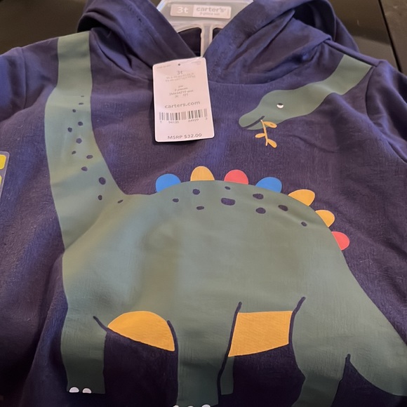 Boys Carters  two piece matching set. Long sleeve with dinosaur. Hooded. - Picture 2 of 7